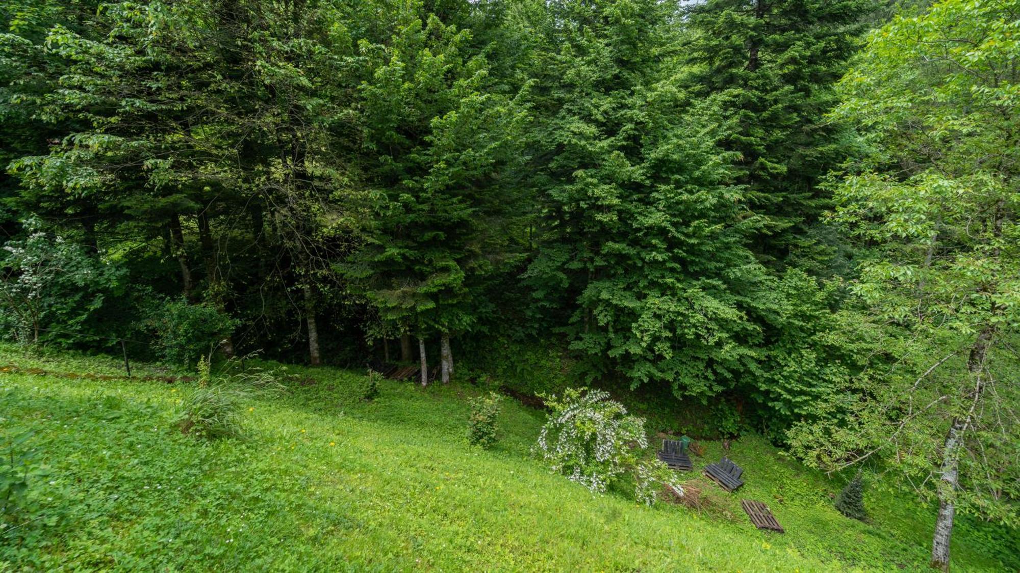 Holiday House Kajfes Villa Brod na Kupi Exterior foto